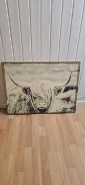 Wand Decoratie Schotse Hooglander