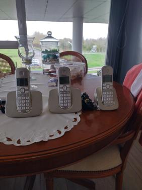 Set van 3 telefoons Phillips