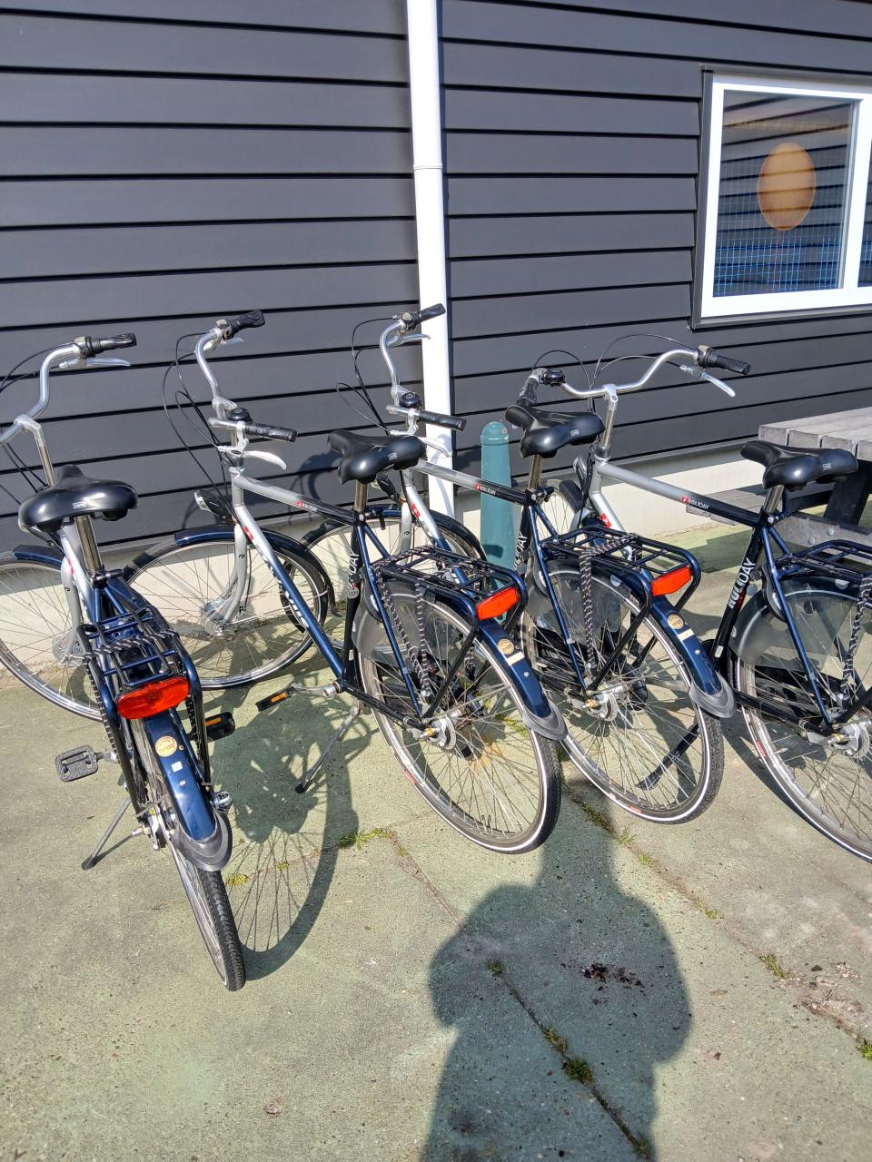 Dames- en herenfietsen