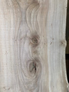 Zeeuws iepen boomstamblad 230 x 40 x 5, 40 euro bij hhzb