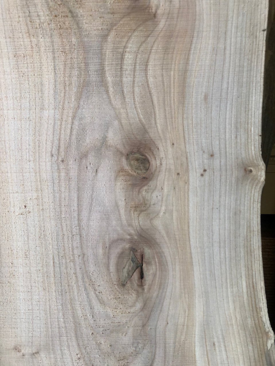 Zeeuws iepen boomstamblad 230 x 40 x 5, 40 euro bij hhzb