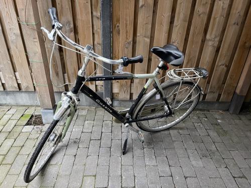 Gazelle Orange Herenfiets - 55