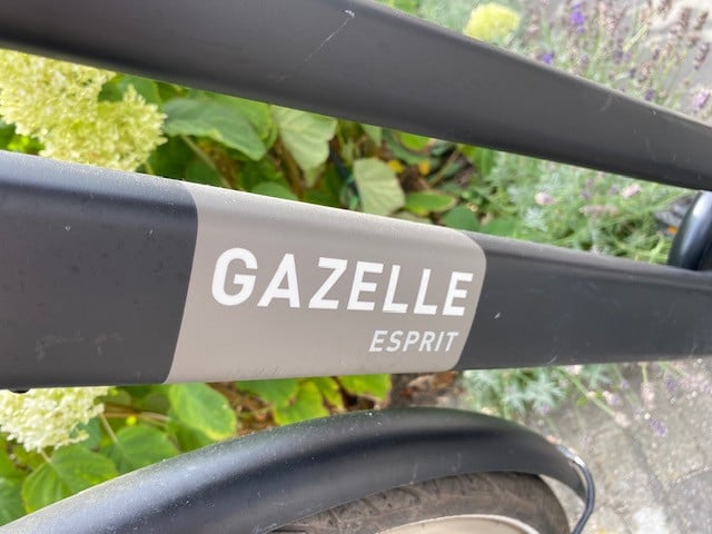 Damesfiets Gazelle Esprit