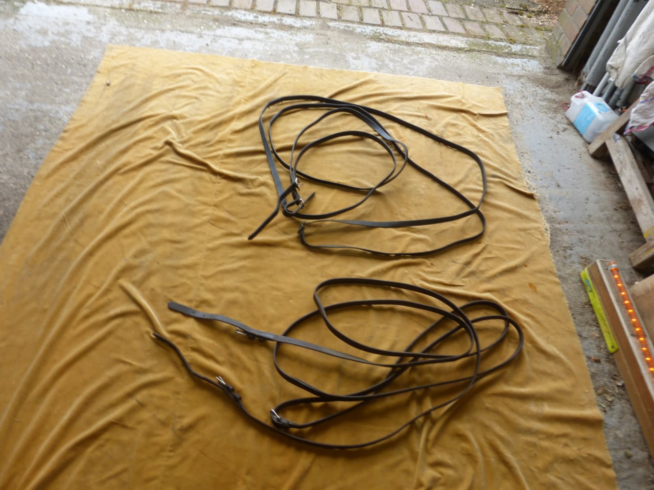 Leidsels aangespannen rijden