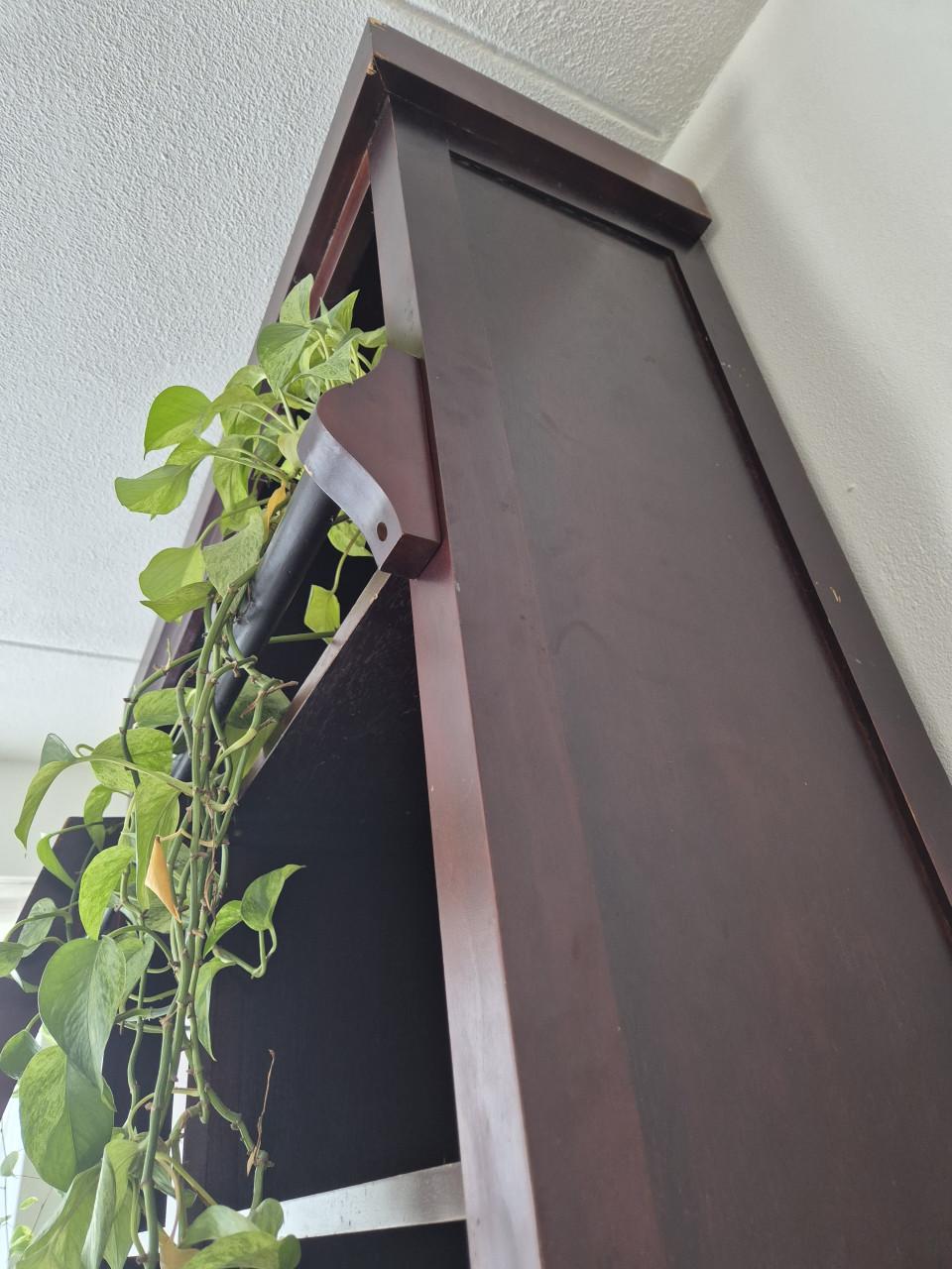 Boekenkast met ladder