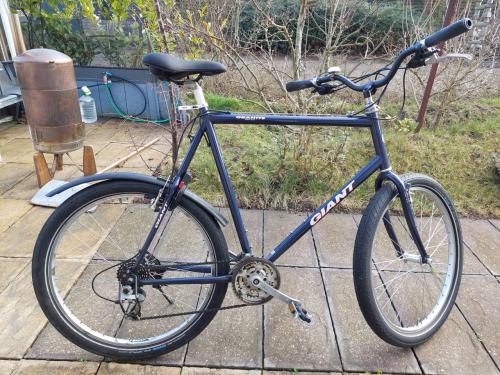 Mountainbike voor lange mannen