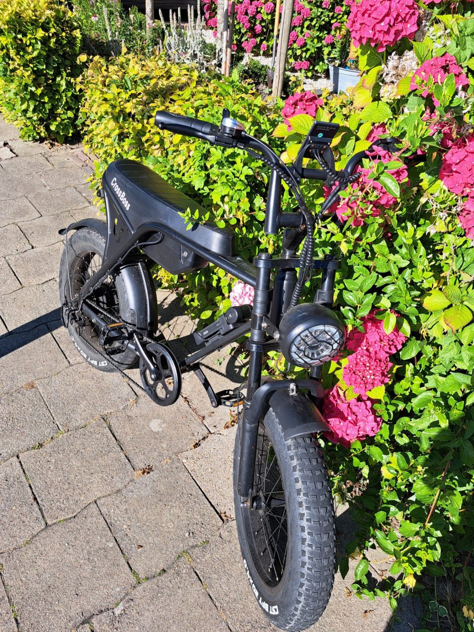 Fatbike