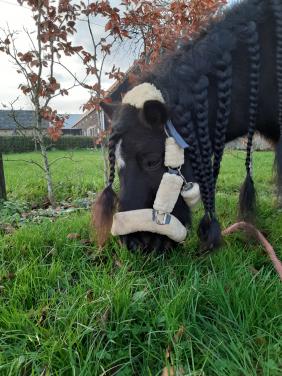 Halster met bont QHP maat shet