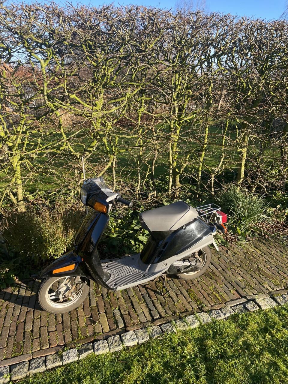 Yamaha mint