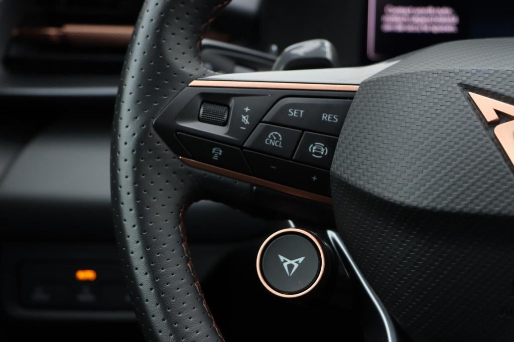Cupra Terramar 1.5 etsi business dsg7 150pk