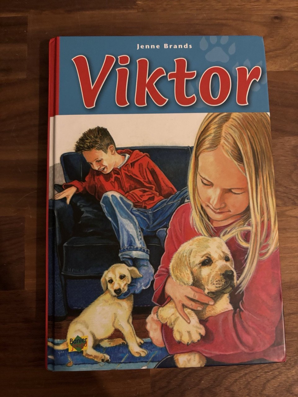 Diverse kinder en jeugdboeken