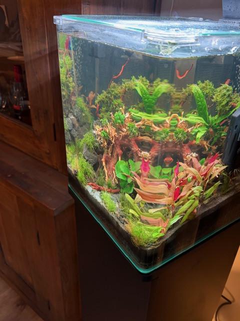 Dennerle Nano 30 set compleet , bijna nieuw!