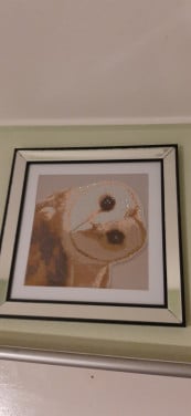 Lijst met diamond painting kerkuil
