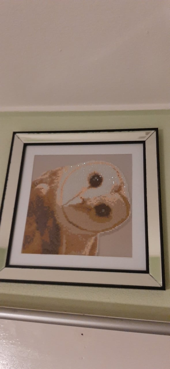 Lijst met diamond painting kerkuil