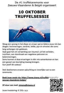Trip therapie