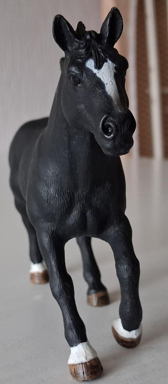 Schleich appaloosa hengst uit set 41416