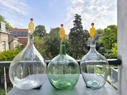 Prachtige set wijnmaakflessen 20+10+5L