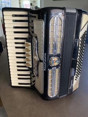 Accordiola accordeon