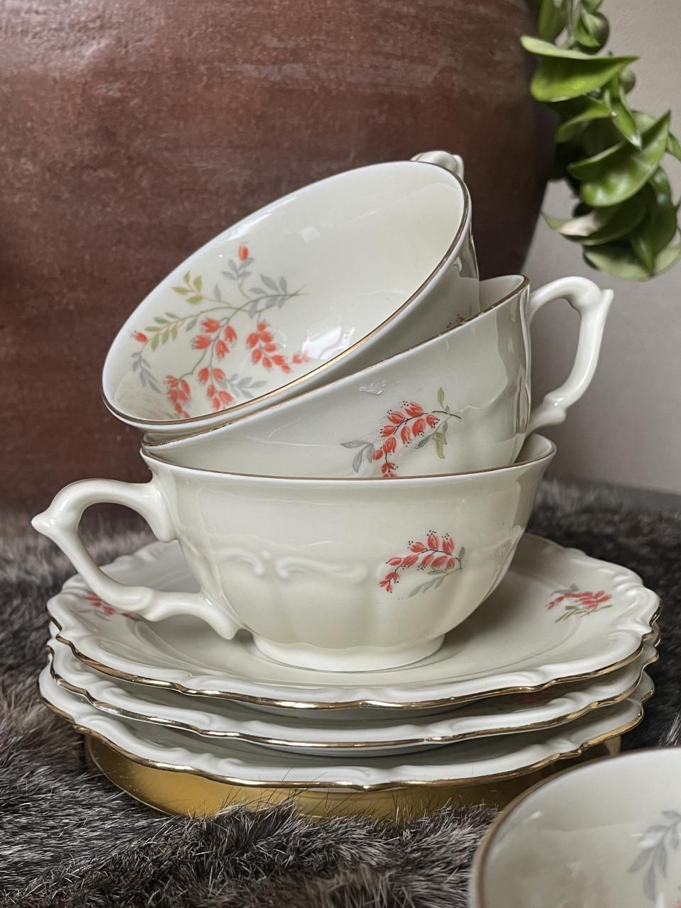 Tielsch-Altwasser kop en schotels Germany(41)