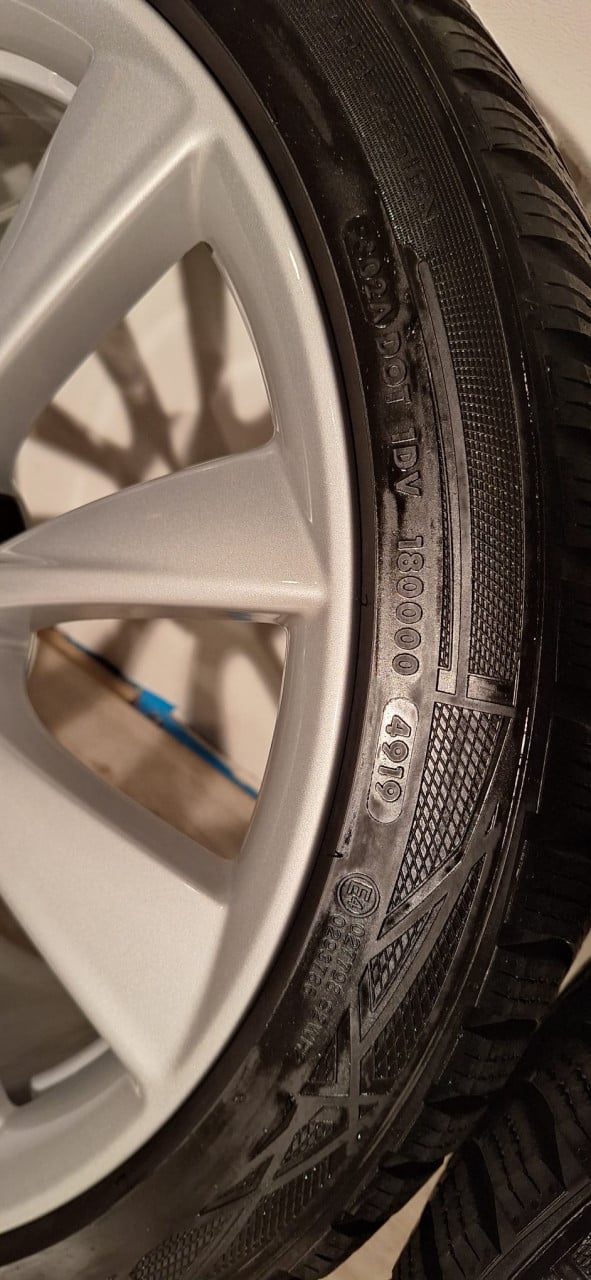 19'' Originele Performance Tesla Model 3 velgen + banden