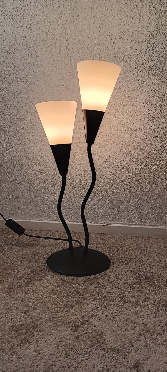 2 stuks LAMPEN
