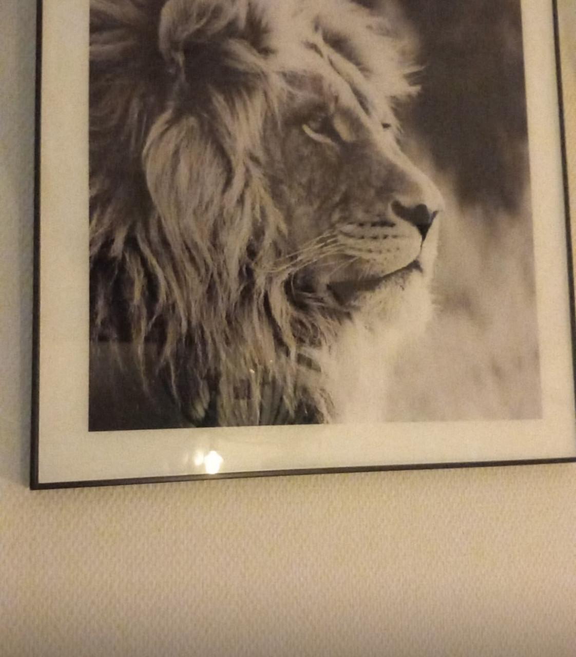 Schilderijen wilde dieren