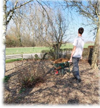 Voorjaars opkuis tuin + lichte herstel werkzaamheden