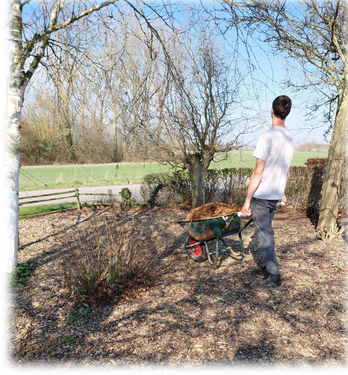 Voorjaars opkuis tuin + lichte herstel werkzaamheden