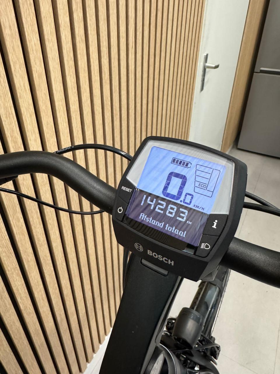 Pegasus Siena E7F Plus Bosch Active Line Plus 500Wh 60CM Belt