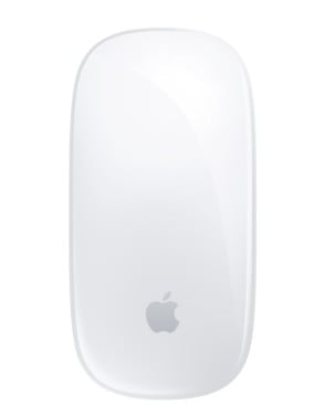 Apple mouse