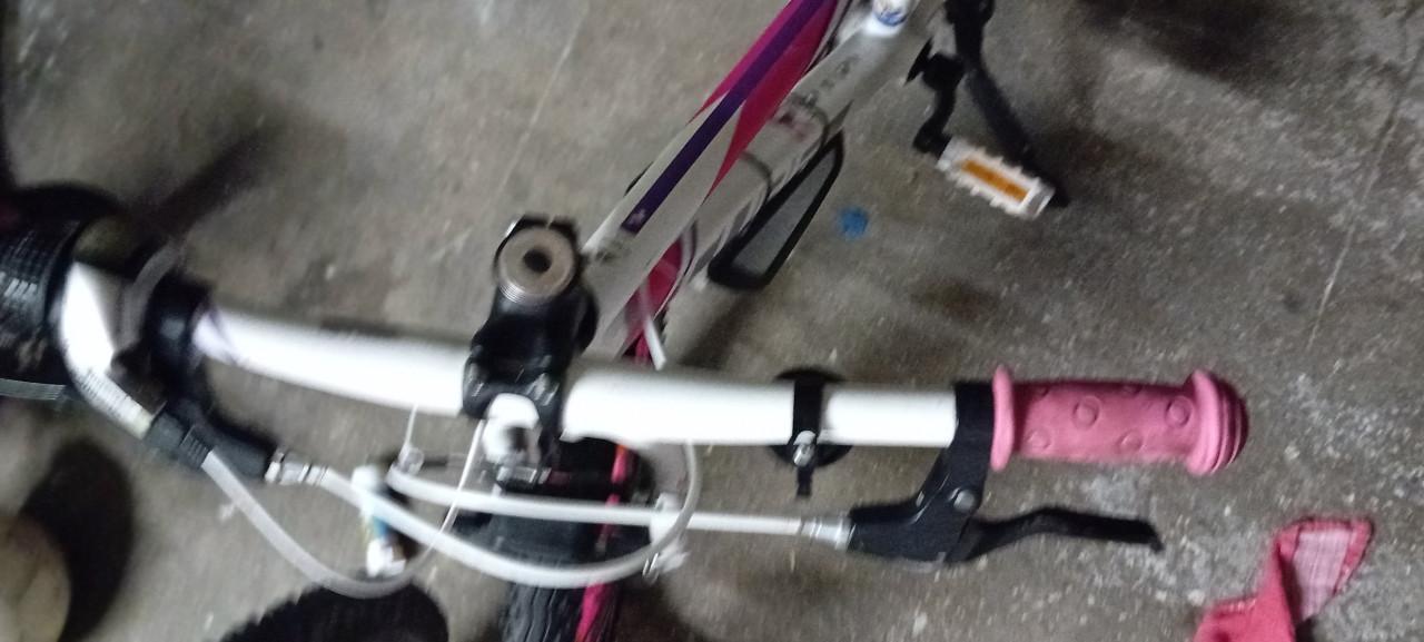 Nette Cube mountainbike 20inch roze