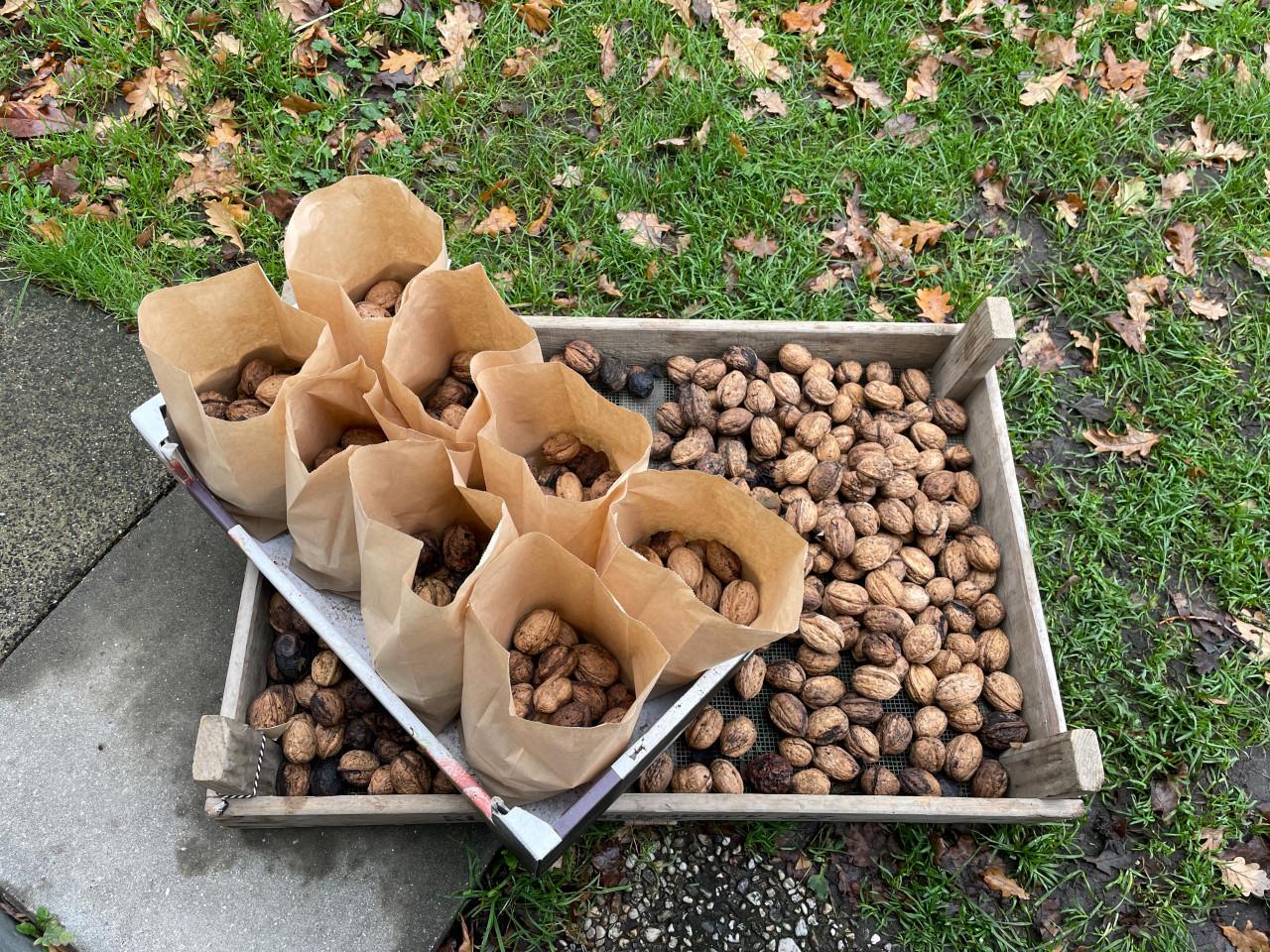 Walnoten 1 kg voor 2,50