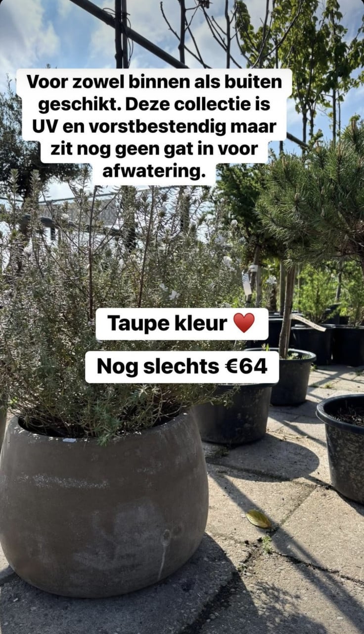 GOEDKOPE BUITEN+ BINNEN POTTEN