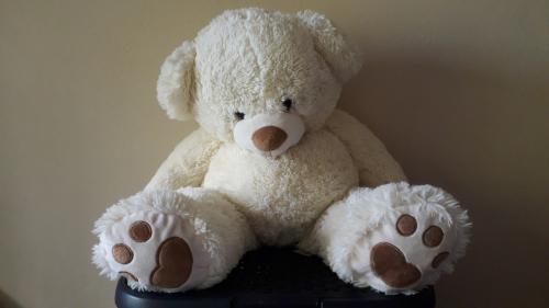 Knuffelbeer groot wit