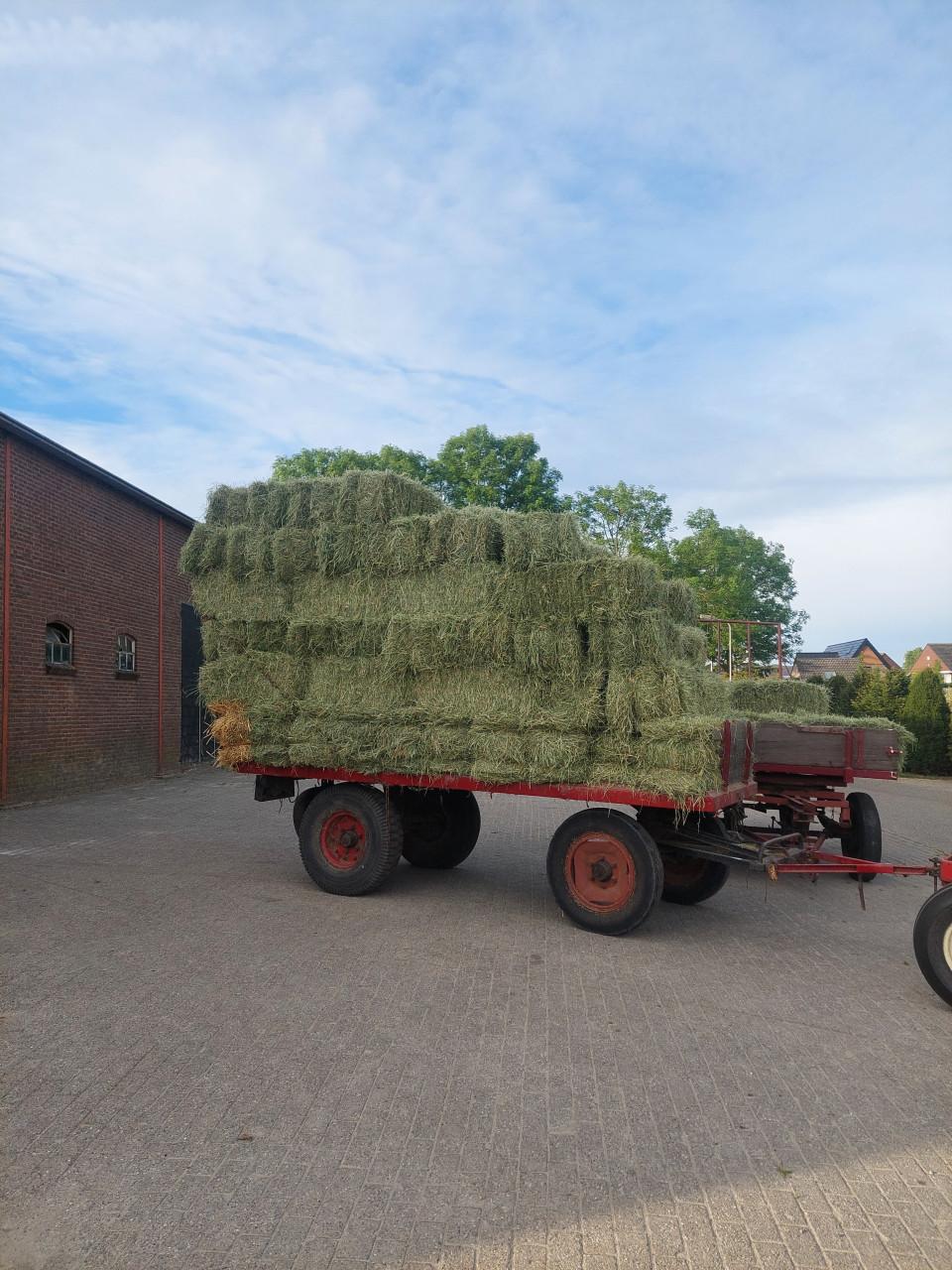 Te Koop kleine pakjes hooi