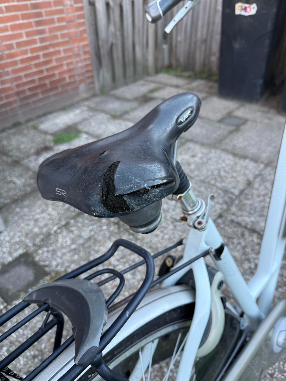 Gazelle Chamonix Fiets