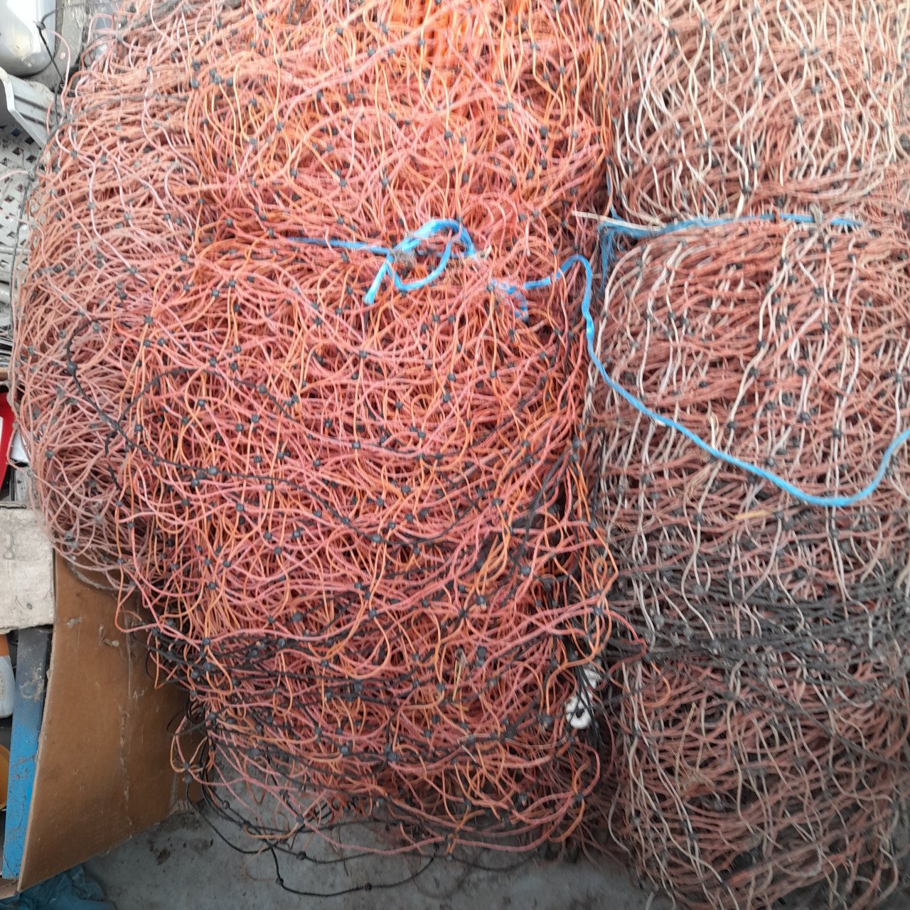 Te koop: elektrische schapen afrastering