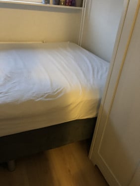 Twijfelaar