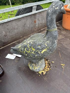 Beeld eend(beton)