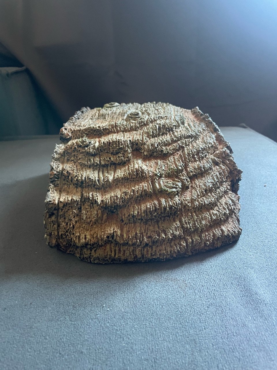 Grot voor in terrarium