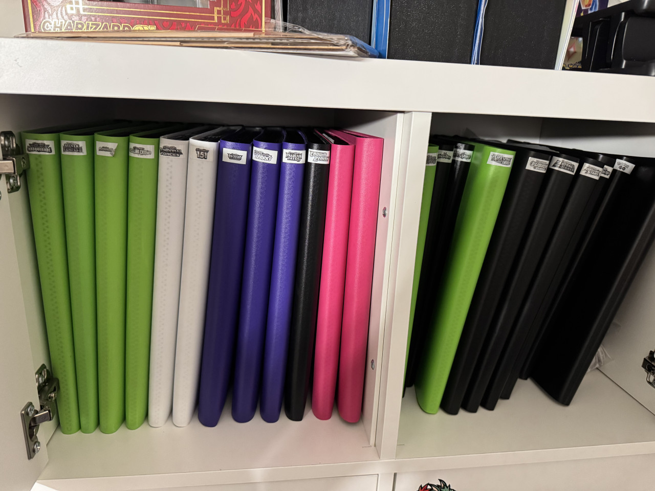 Gehele Pokemon TCG Collectie + Inclusief bulk