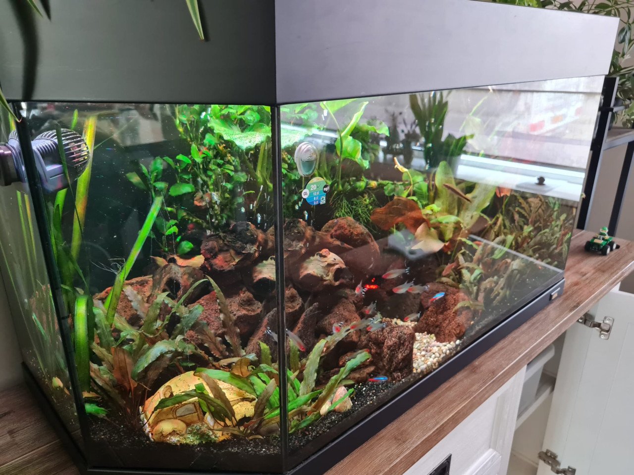 Aquarium Juwel Vision(oude type) met veel accessoires