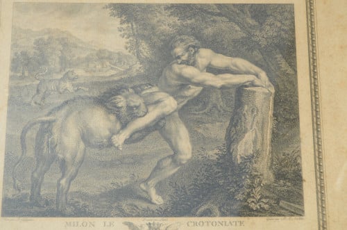Franse gravure 'Milon le Crotoniate' coll. Duc d'Orleans