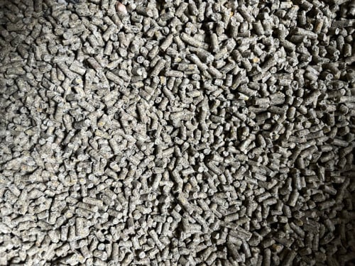 Kippenvoer 20kg graan of legkorrel