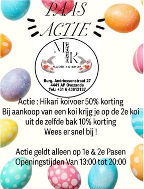 Maori Koi (Ovezande) paas actie 2026