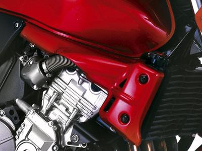 Ruitjes, hugger,bellypan,undertail,radiator covers en meer accessoires