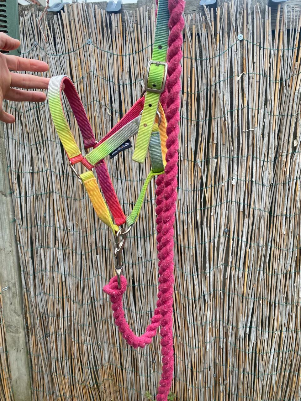 Veulen halster met touw