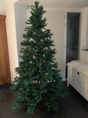 Kerstboom 2.10 m.   1.20 m breed