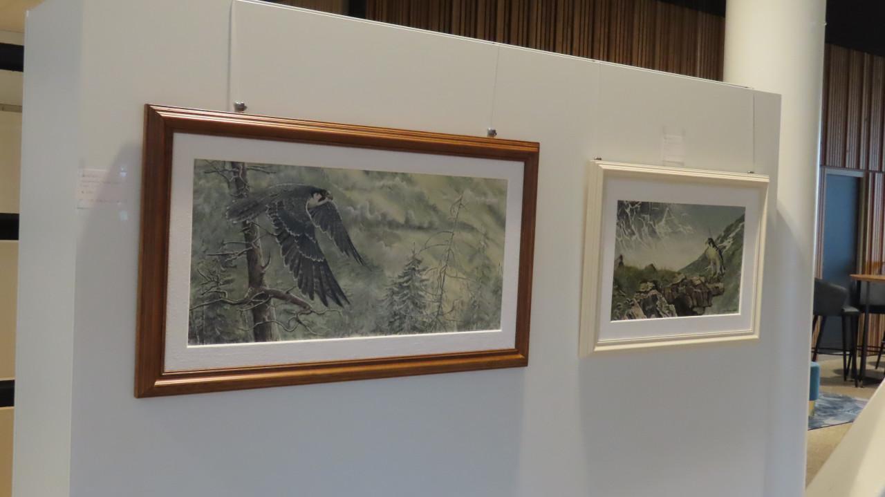 Verschillende schilderijen te koop