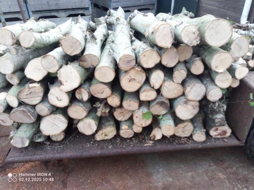 Openhaardhout, mooie elzenstammen, per m3